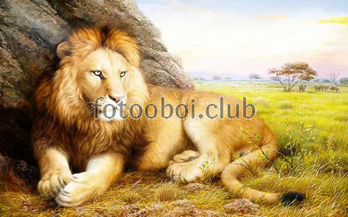 лев, саванна, природа, живопись