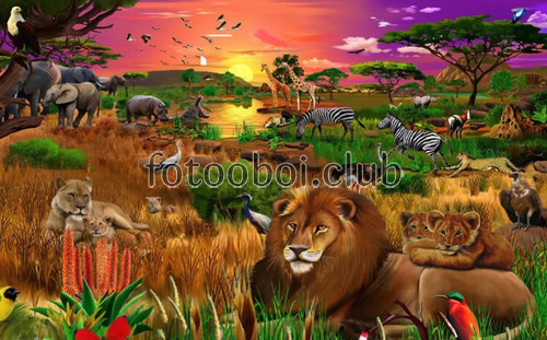 саванна, животные, лев, львица, жираф, слон, зебра, закат, детские, для мальчика, для девочки