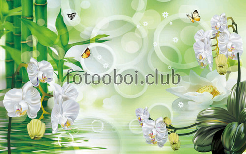 орхидея, цветок, белая орхидея, белые, растение, бамбук, 3д, 3d, стереоскопические