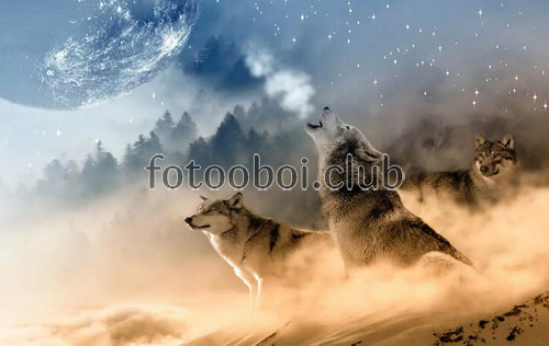 волки, туман, луна, животные