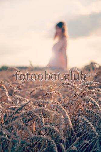 поле, девушка, облака, день, природа, трава