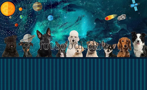 забор, собаки, космос, планеты, дизайнерские, 3д, 3d