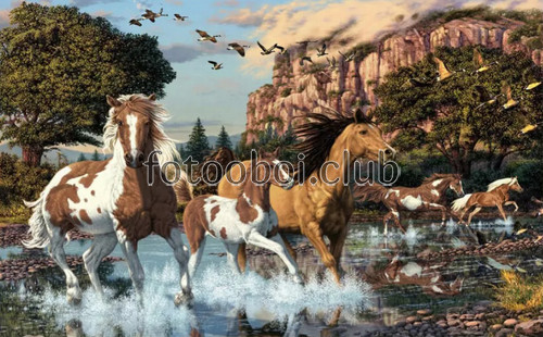 кони, лошади, табун, река, вода, горы