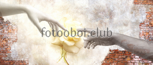 руки, ладони, кирпичная стена, розы, цветы, абстракция