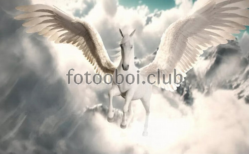 пегас, облака, белый конь