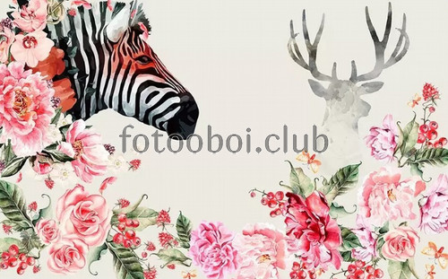 зебра, акварель, животные, цветы, дизайнерские
