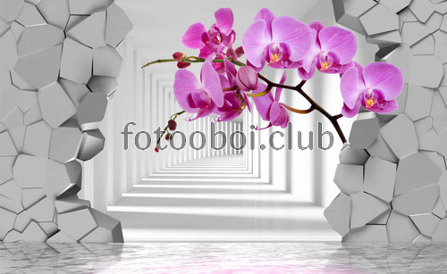 орхидеи, 3д, 3d, коридор, камни,