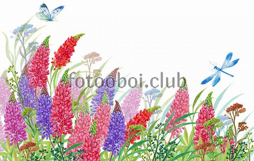 цветы, поле, стрекозы, бабочки, акварель