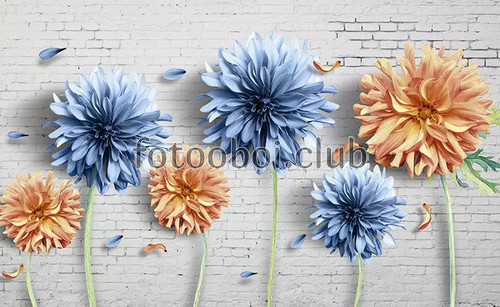 хризантемы, цветы, синие, оранжевые, кирпичная стена, 3д, 3d