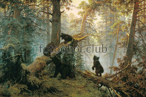 медведь, медведи, сказка, три медведя, лес, дерево, медведица 