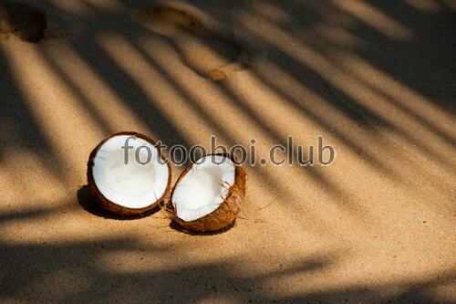 кокос, пляж, природа, море, жара