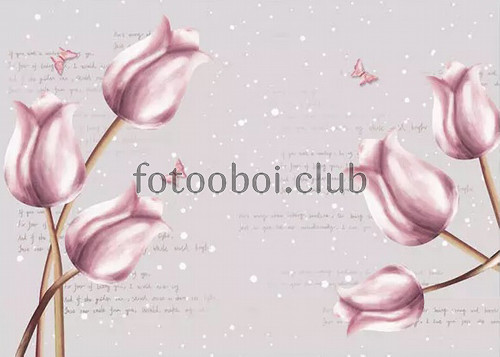 розовые тюльпаны, бабочки, пудровые, стихи