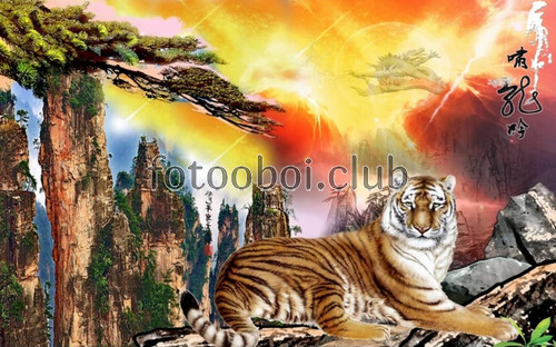тигр, вершины, горы, скалы, закат, рассвет