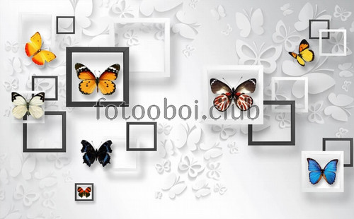 бабочки, квадраты, 3д, 3d, дизайнерские