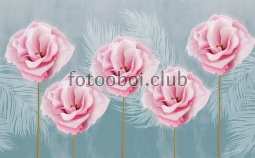 розовые розы, перья, 3д, 3D, дизайнерские