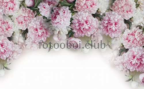 розовые пионы, цветы, бутоны, дизайнерские, 3д, 3d