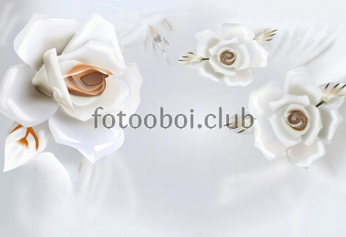 белые розы, цветы, светлые, 3д, 3d