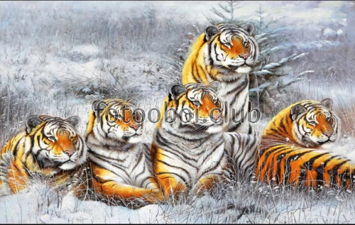 тигры, поле, снег, зима, дизайнерские