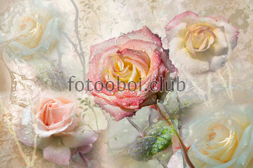 узор, цветы, роса, розы, дизайнерские