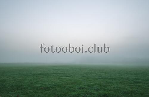поле, небо, облака, туман, природа, трава, мрак