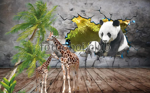панды, разломанная стена, жирафы, пальмы, для мальчика