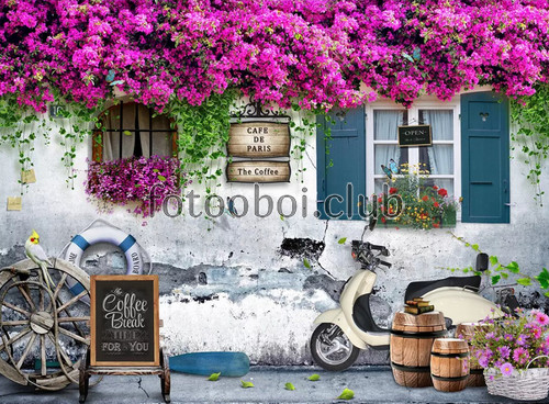 дом, цветы, мотоцикл, бочки, Париж, кафе