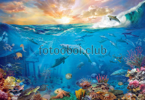 подводной мир, океан, море, дельфины, киты, черепахи, морские ежи, кораллы, медуза, рыбки, рыбы, осьминог, волна, закат, подводное царство  