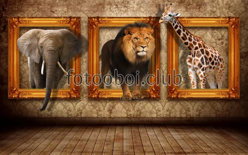 слон, лев, жираф, картины, дизайнерские, 3д, 3d