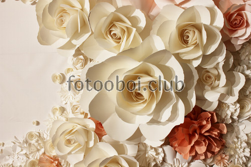 3д, 3d, цветы, розы, на стену, стена, дизайнерские, фреска