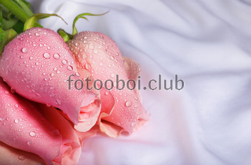 розовые розы, шелк, 3д, 3d, дизайнерские, капли росы, букет