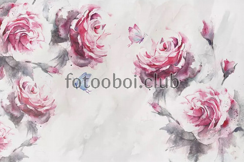 розовые розы, пионы, цветы, дивопись, акварель, дизайнерские