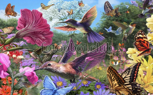 птицы, колибри, бабочки, цветы, дизайнерские
