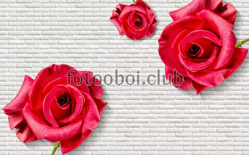 кирпичная стена, дизайнерские, цветы, красные розы, 3д, 3d