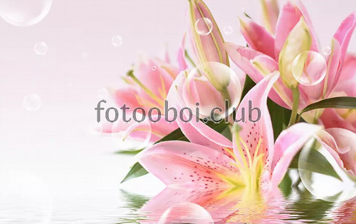 розовые лилии, цветы, 3д, 3d, дизайнерские, пузыри
