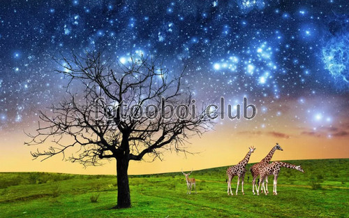дерево, небо, звезды, жирафы, сафари
